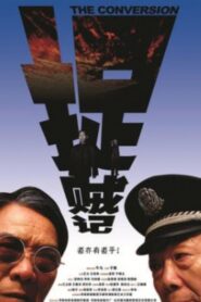 捉贼记 Online En Netflix