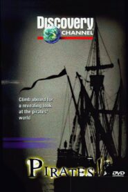 Pirates Online En Netflix