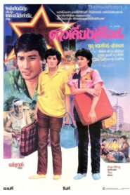 ดาวเคียงเดือน Online En Netflix
