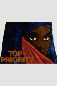 Top Priority Online En Netflix