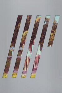 Steven Wilson: 4 ½ Online En Netflix