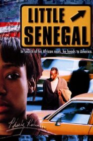 Little Senegal Online En Netflix