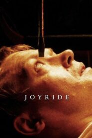 Joyride Online En Netflix