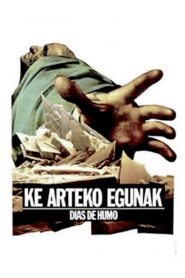 Ke arteko egunak Online En Netflix