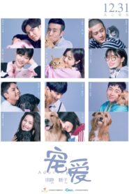宠爱 Online En Netflix