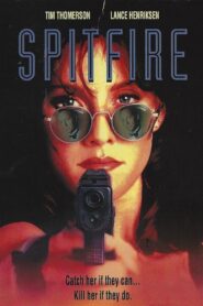 Spitfire Online En Netflix