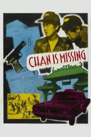 Chan Is Missing Online En Netflix