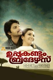 ഉപ്പുകണ്ടം ബ്രദേഴ്സ് Back In Action Online En Netflix