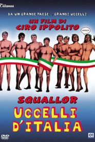 Uccelli d’Italia Online En Netflix