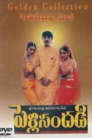 పెళ్లి సందడి Online En Netflix