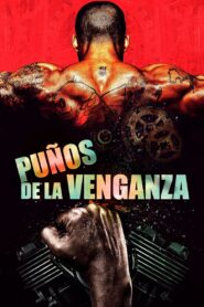 Puños de la Venganza Online En Netflix