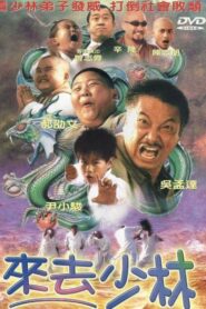來去少林 Online En Netflix