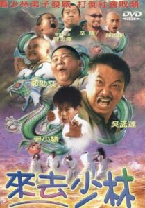 來去少林 Online En Netflix