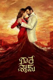 రాధే శ్యామ్ Online En Netflix