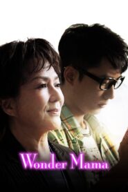 媽咪俠 Online En Netflix