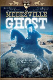 The Meeksville Ghost Online En Netflix