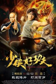 少侠好功夫 Online En Netflix