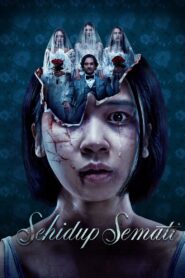 Sehidup Semati Online En Netflix