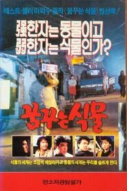 꿈꾸는 식물 Online En Netflix