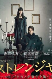 ストレンジャー ～バケモノが事件を暴く～ Online En Netflix