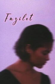 Fazilet Online En Netflix