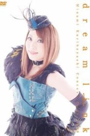 栗林みな実 dream link Concert Tour 2008 Online En Netflix