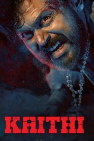 கைதி Online En Netflix