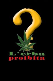 L’erba proibita Online En Netflix