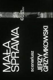 Mała sprawa Online En Netflix