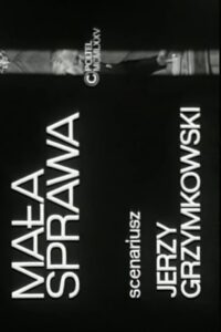Mała sprawa Online En Netflix