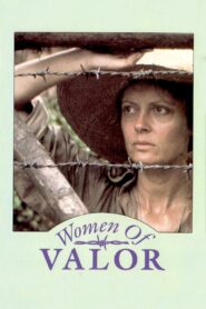 Women of Valor Online En Netflix