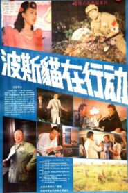 波斯猫在行动 Online En Netflix