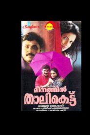 മീനത്തിൽ താലികെട്ട് Online En Netflix