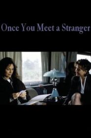 Once You Meet a Stranger Online En Netflix