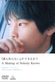 「誰も知らない」ができるまで Online En Netflix