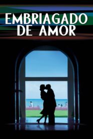 Embriagado de amor Online En Netflix