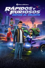 Rápidos y furiosos: Espías al volante 2019 En Netflix