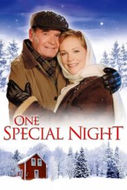 One Special Night Online En Netflix