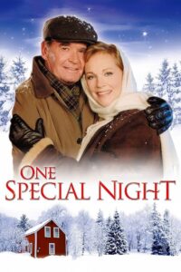 One Special Night Online En Netflix
