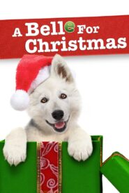 Un perro en Navidad Online En Netflix