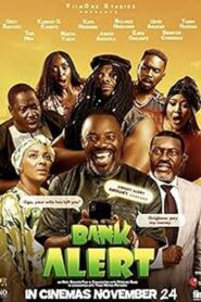 Bank Alert Online En Netflix