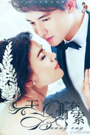 บ่วงหงส์ 2017 En Netflix