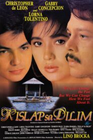 Kislap sa Dilim Online En Netflix