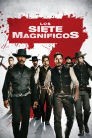 Los siete magníficos Online En Netflix