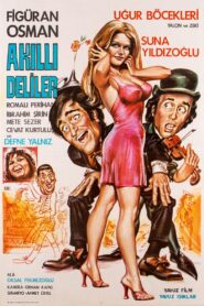 Akıllı Deliler Online En Netflix