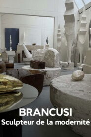 Brancusi : les métamorphoses de la sculpture Online En Netflix