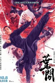IP Man: El maestro del kung fu Online En Netflix