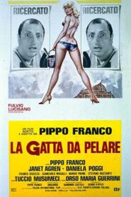 La gatta da pelare Online En Netflix