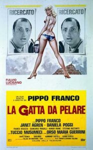 La gatta da pelare Online En Netflix
