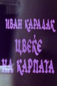 Цвеќе на карпата Online En Netflix